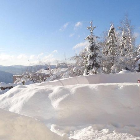 Laptitevosgienne Vue Lac A Gerardmer ! Exterior photo